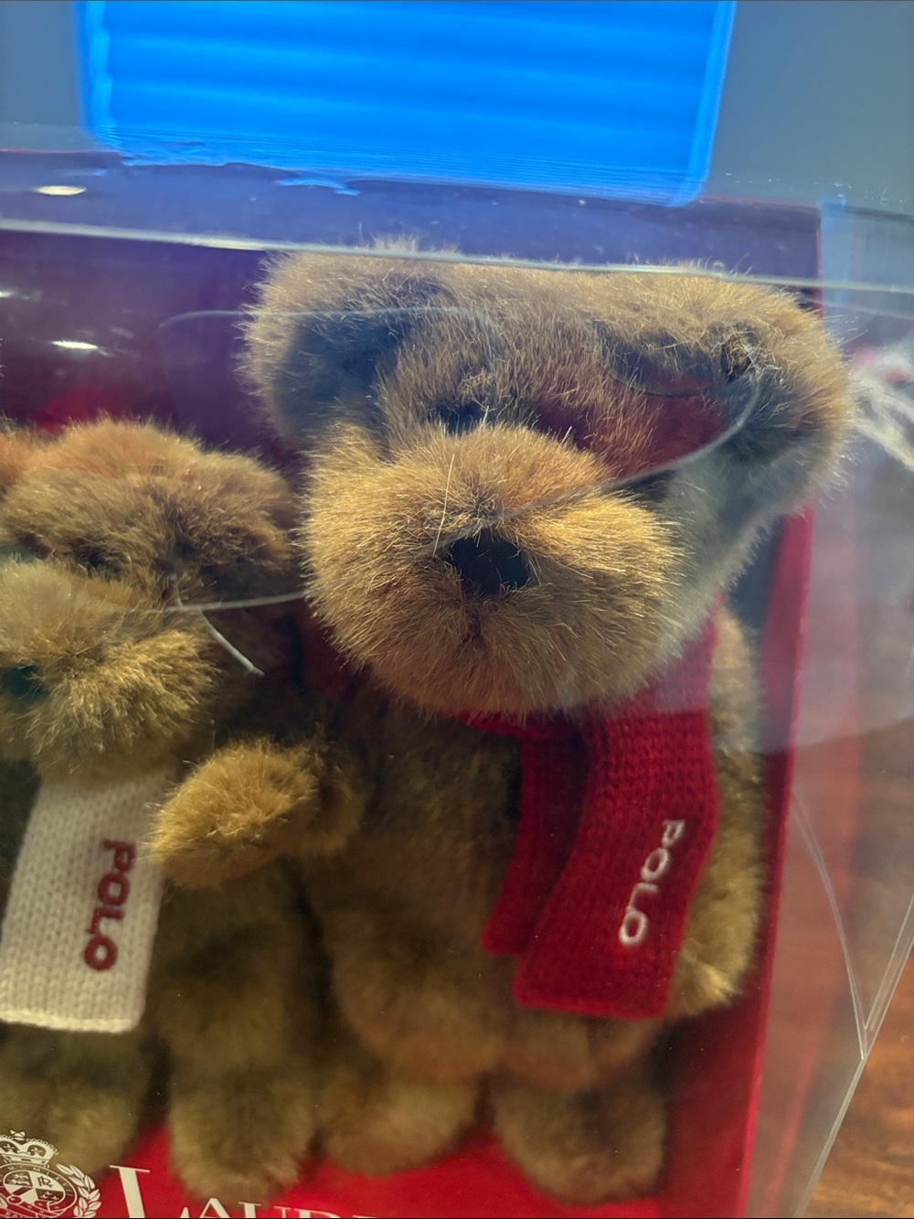 NWB POLO Bear set - Picture 5 of 8